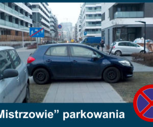 Mistrzowie parkowania. Tak kierowcy parkują w Warszawie