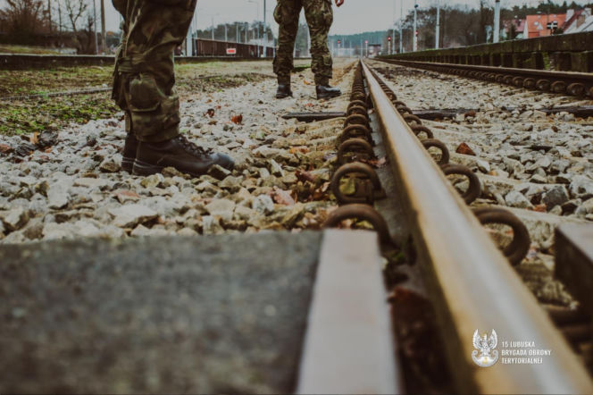 Żołnierze WOT jak policjanci? Mogą legitymować i zatrzymywać
