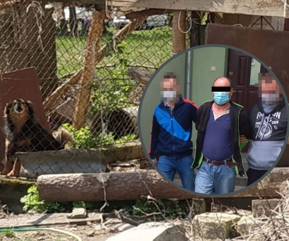 Biała Podlaska. Psy pogryzły 10-latka. Agresywne zwierzęta rzuciły się na dziecko. Straszne!