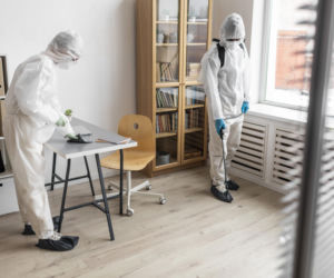 Cennik ozonowania domu i mieszkania 2026. Ile kosztuje ozonowanie?