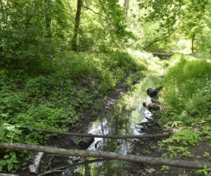 Kolejarze zabiorą mieszkańcom jedyne dojście do rezerwatu. Nie ma pieniędzy na tunel pod torami