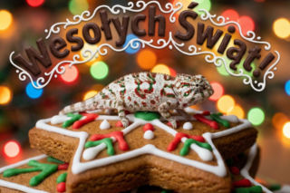 Piękne i radosne kartki świąteczne na Boże Narodzenie 2025