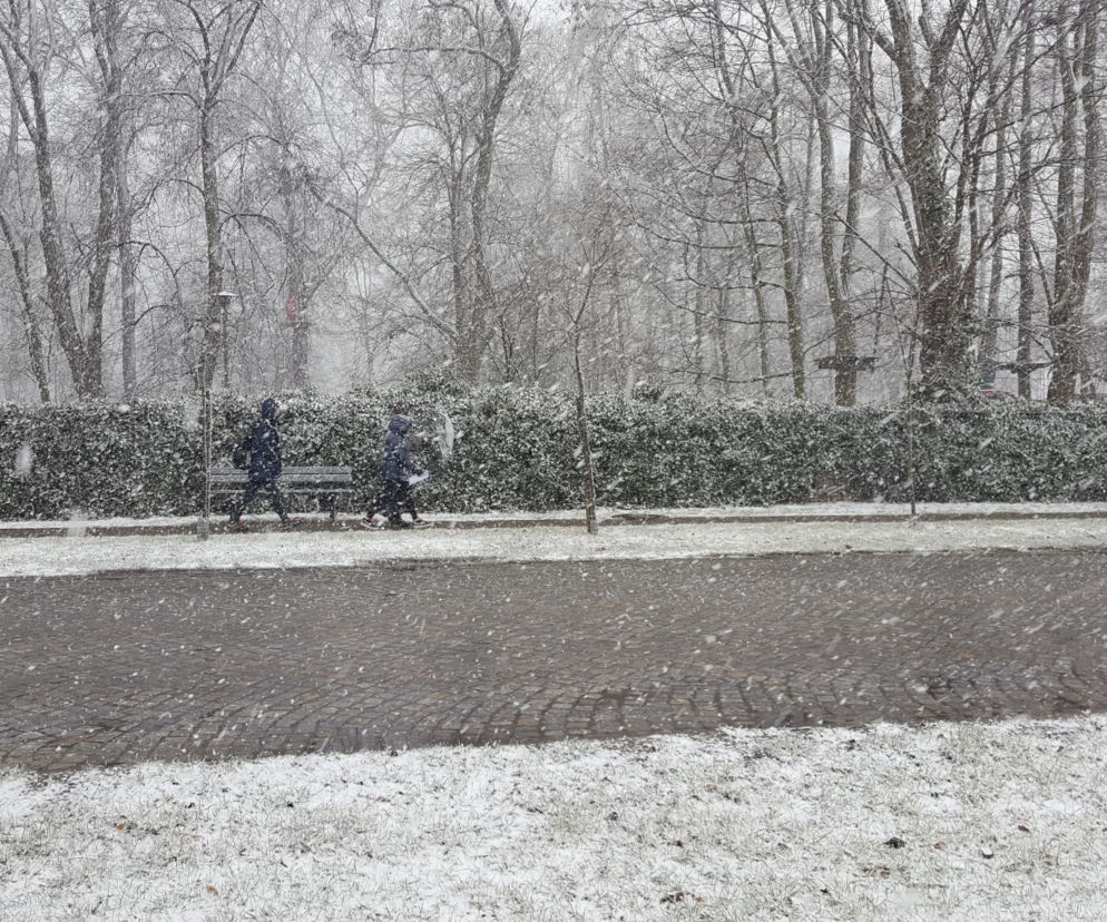 Dziś (19.03.) ostatni dzień zimy. Jutro (20.03.) początek astronomicznej wiosny