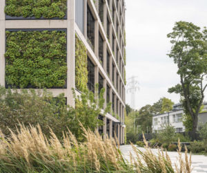 Nowy język dawnych światów. Kampus CD PROJEKT RED