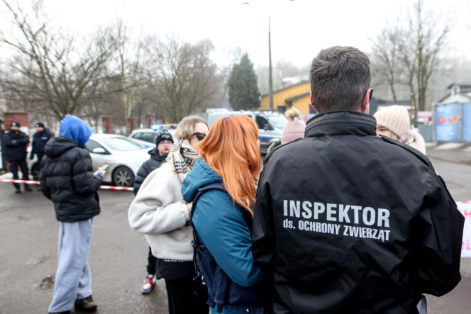 Miał być protest milczenia, doszło do awantury. Gorąco pod schroniskiem w Bytomiu