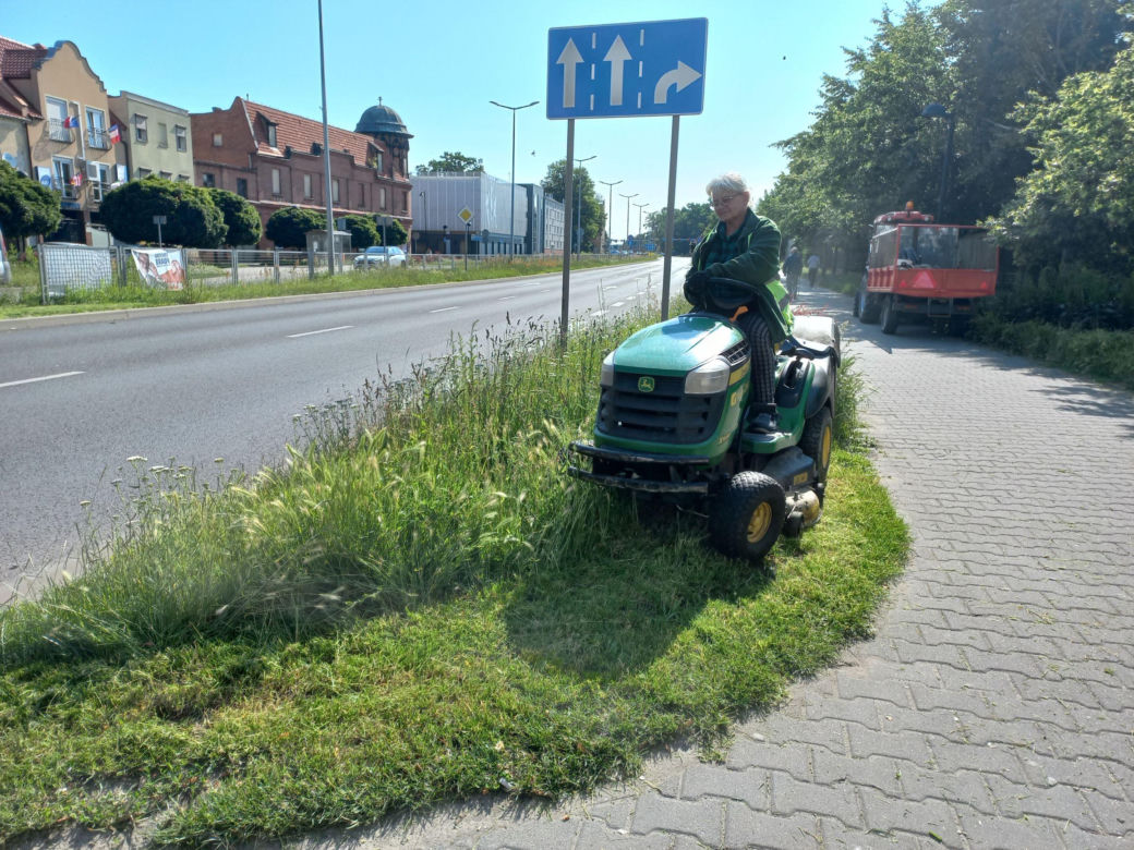 Trawniki w Lesznie wybujały. Koszą prawie codziennie [ZDJĘCIA]