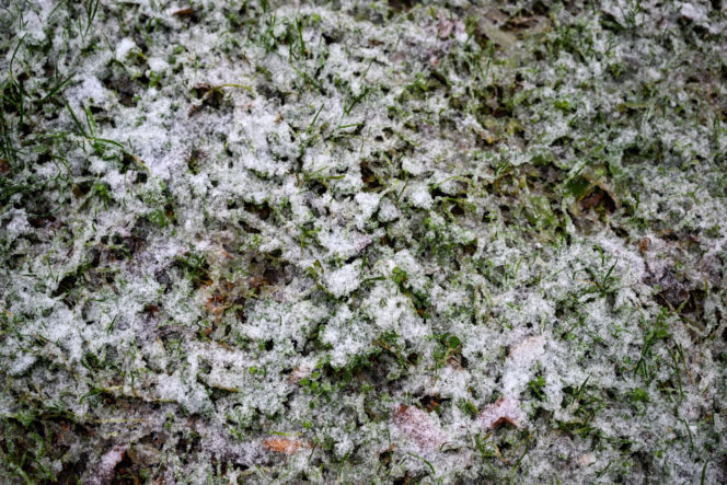 Atak zimy w Polsce. Tutaj zrobiło się biało