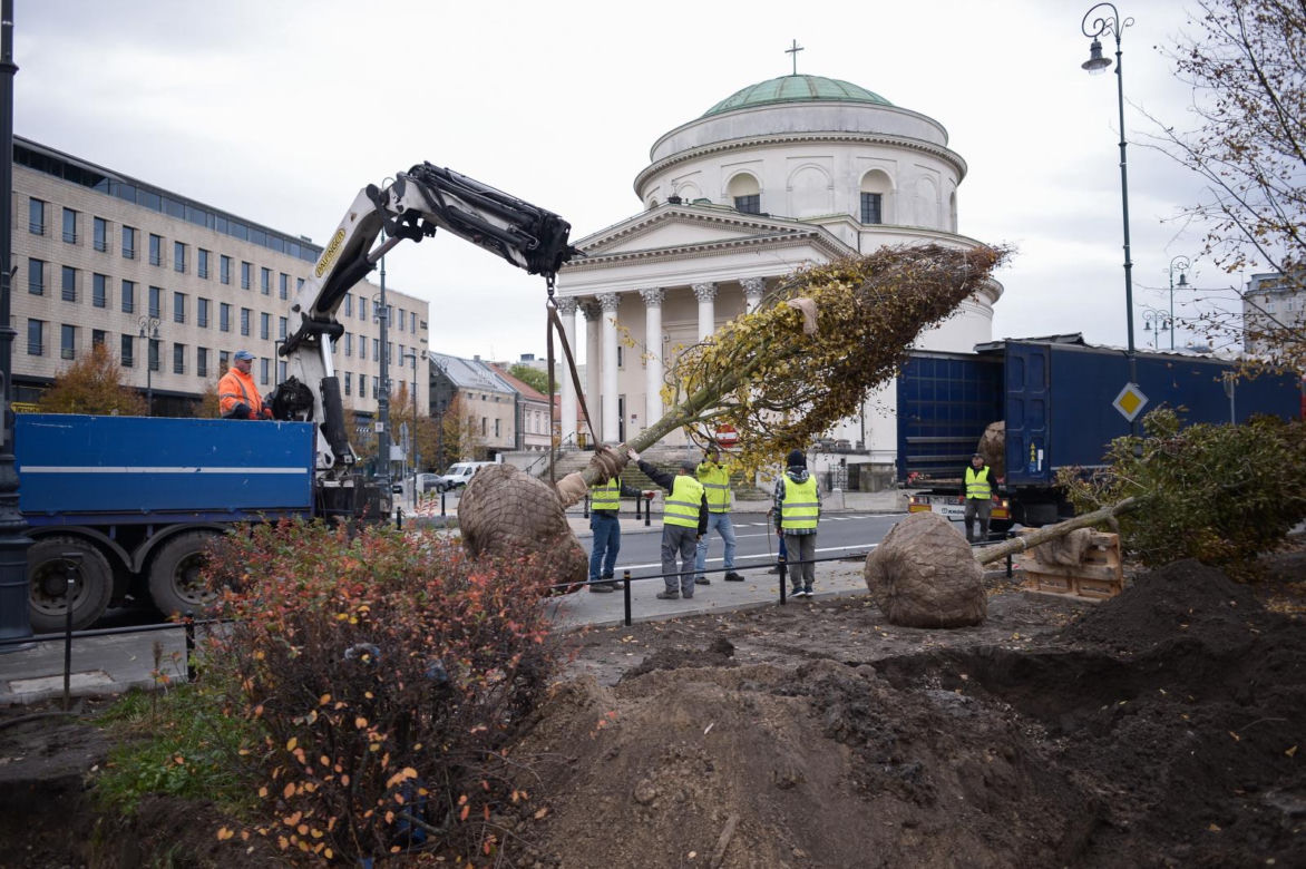 Sadzenie drzew na placu Trzech Krzyży