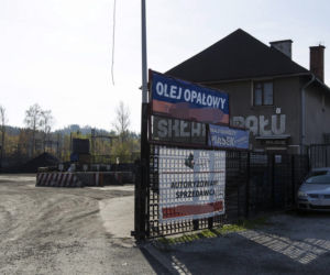 Psy zagryzły go żywcem