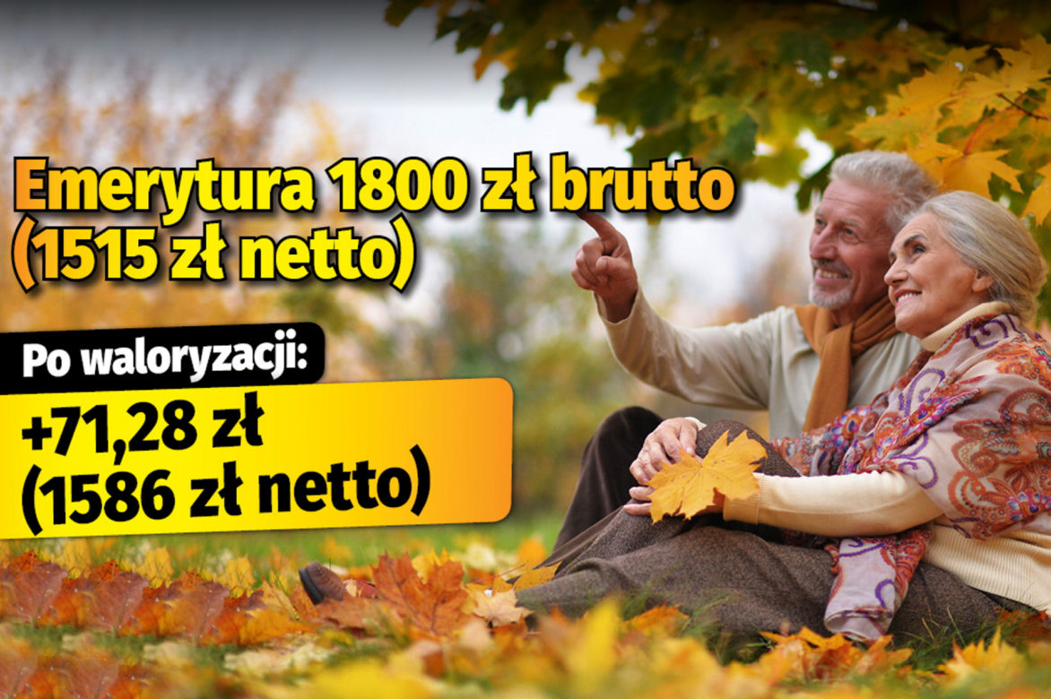 Polski Ład/waloryzacja 4,89