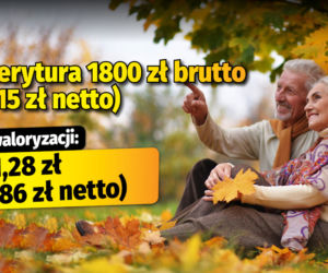 Polski Ład/waloryzacja 4,89