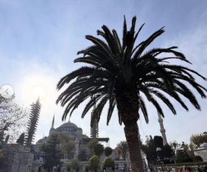 Kuba Wojewódzki z domniemaną żoną w kolejnej podróży! Nieźle sobie dogadzają