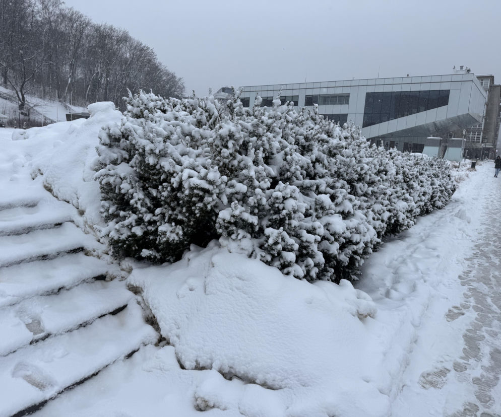 Śnieżyce i mróz na przełomie marca i kwietnia? Pogoda na Wielkanoc zaskoczy Polaków
