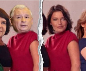 Platforma wyzywa aniołki PiS od suczek 