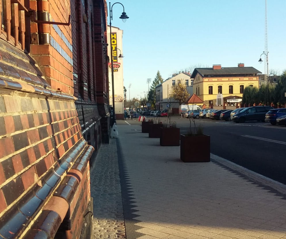 Więcej roślin i drzew w Grudziądzu