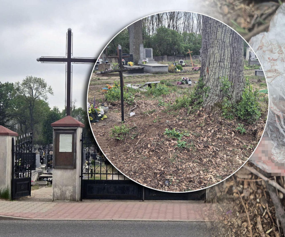 Zabójstwo 45-letniej Anny pod Warszawą. Ciało jej byłego partnera znaleziono na cmentarzu