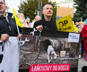 Wielki Marsz dla Zwierząt po wecie prezydenta