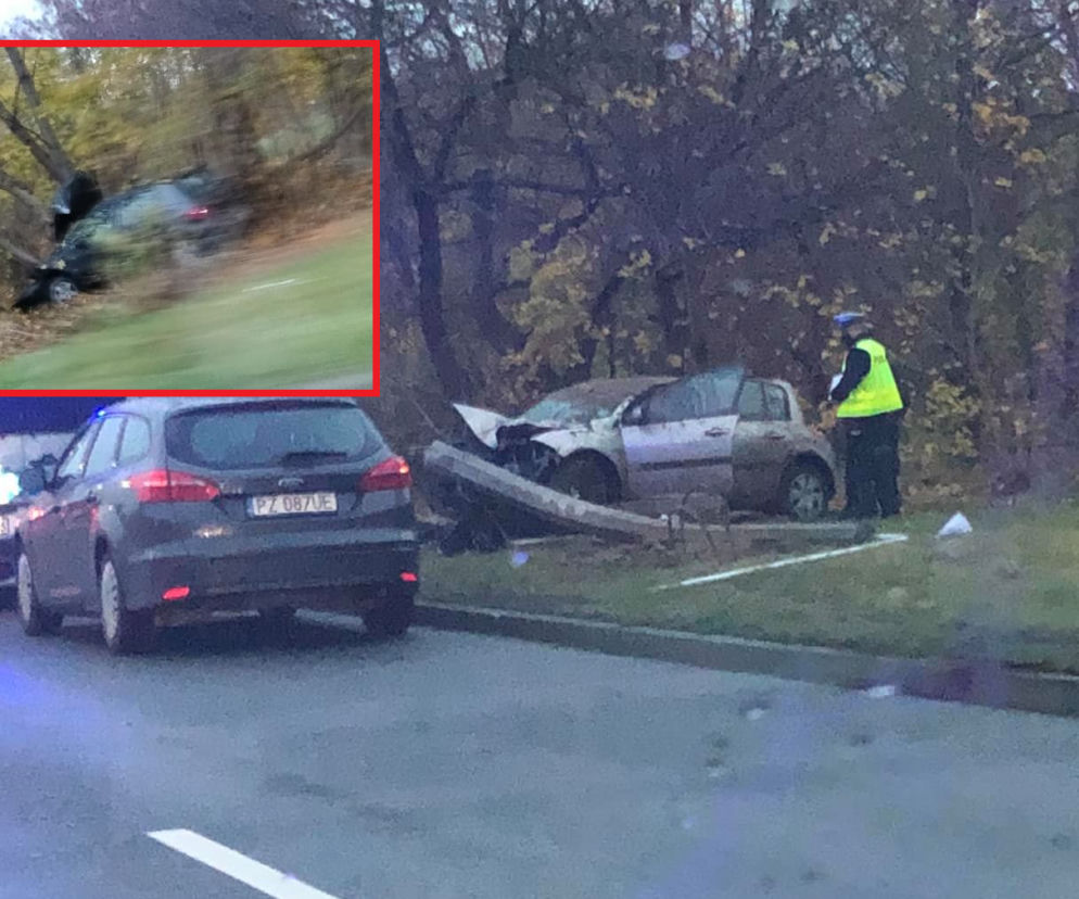 POTWORNA kraksa w Radomiu. Kierowca Renault wypadł z drogi i WYGRZMOCIŁ w drzewo