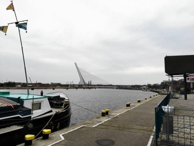 Most Kłodny w Szczecinie - wizualizacje