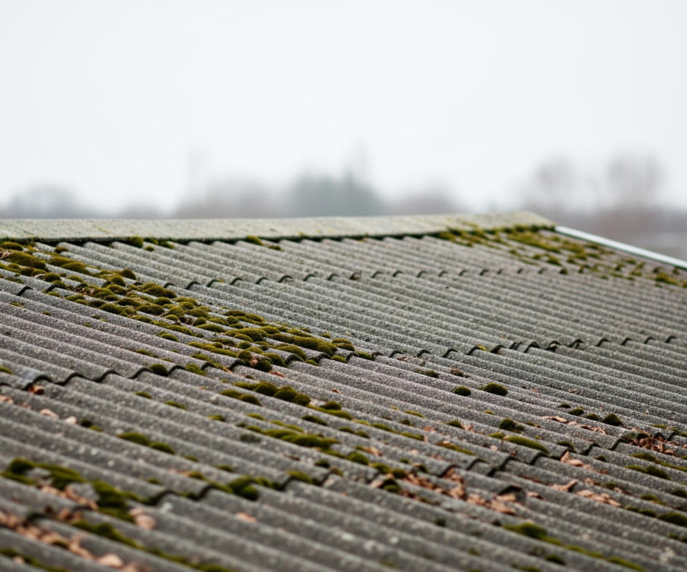 Fragment szarego, falistego dachu pokrytego mchem i zasuszonymi liśćmi. Dach, ułożony z podłużnych, ząbkowanych paneli, rozciąga się od lewego dolnego rogu w kierunku prawego górnego, z widocznym okapem i rynną w dole obrazu. Górna część zdjęcia przedstawia rozmyte tło, prawdopodobnie drzewa i budynki, pod bladym, jasnoszarym niebem.