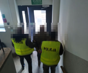 Leżał w odchodach, cały we KRWI. POTWÓR z Lubania zabił własnego psa młotkiem!