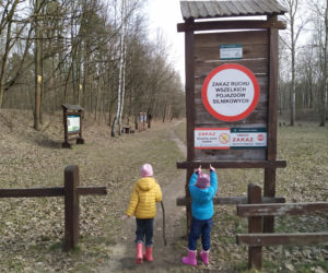 Spacer z leśnikiem po terenie Uroczyska Sekuła z leśnikami z Nadleśnictwa Siedlce