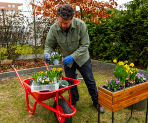 Murator Ogroduje, realizacje