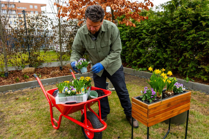 Murator Ogroduje, realizacje