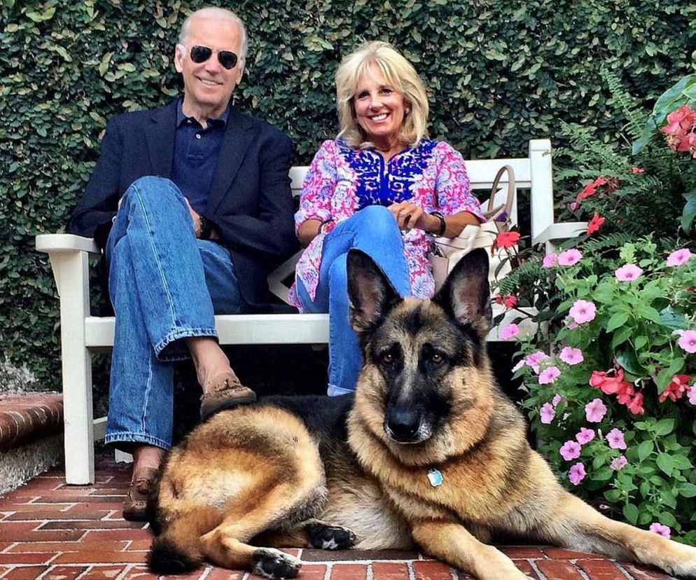 Joe Biden. Oto pierwszy pies USA
