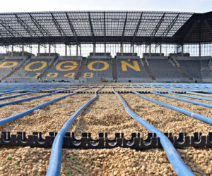 Budowa stadionu w Szczecinie - sierpień 2020
