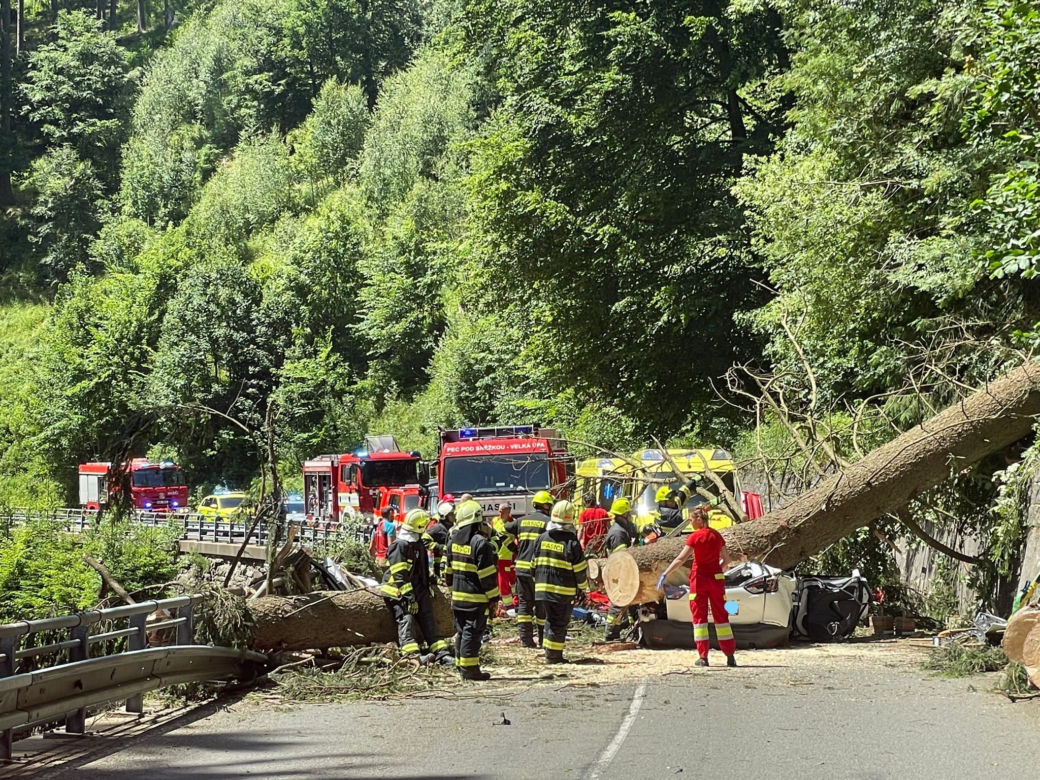 Świerk spadł na opla w Karkonoszach. W śmiertelnym wypadku zginął 15-latek i dwie kobiety