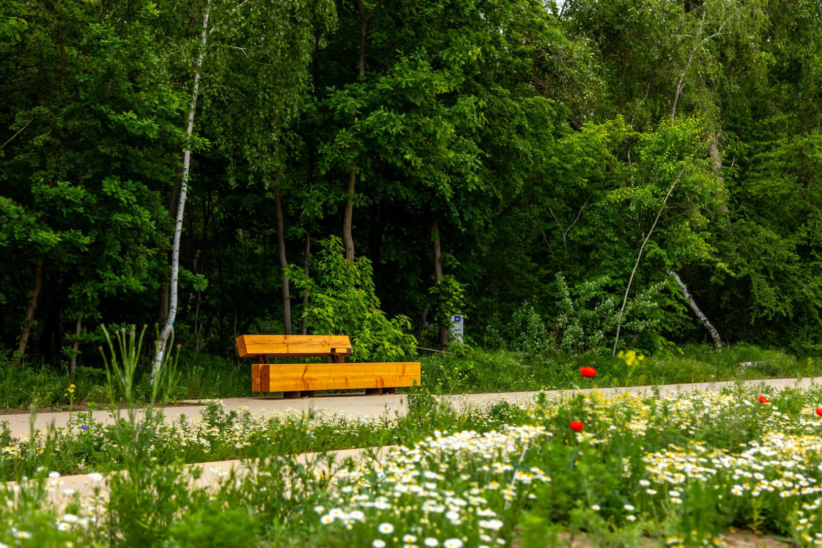 Park Żerański w Warszawie