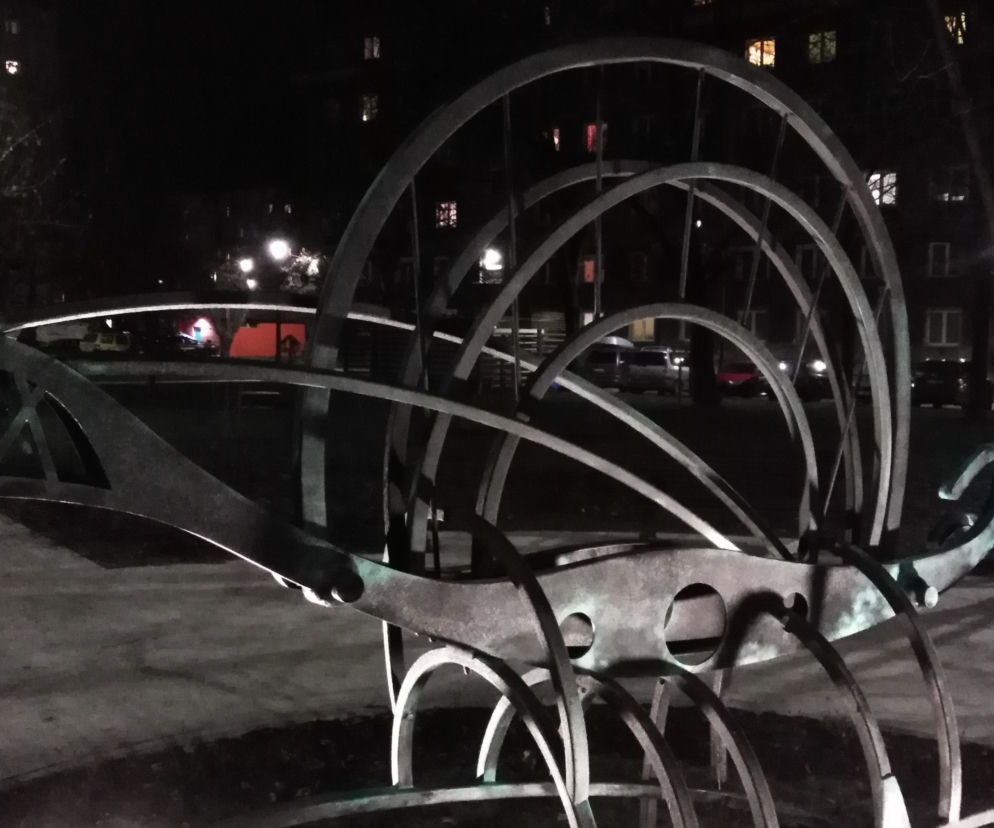 Robaczek na osiedlu Centrum D
