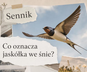 Jaskółka we śnie: co oznacza i jak czytać ten symbol