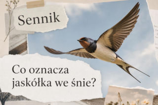 Jaskółka we śnie: co oznacza i jak czytać ten symbol
