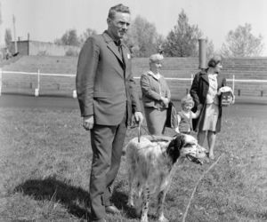 Wystawa psów na stadionie w Łodzi w maju 1972 roku