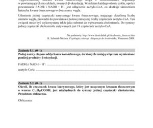 Matura 2020 ARKUSZE CKE z biologii POZIOM ROZSZERZONY 
