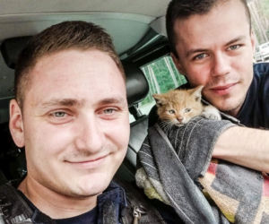 Nowa Sól. Mały kotek utknął w aucie, ale nigdy nie zgadniecie gdzie! Ratowali go policjanci [ZDJĘCIA]