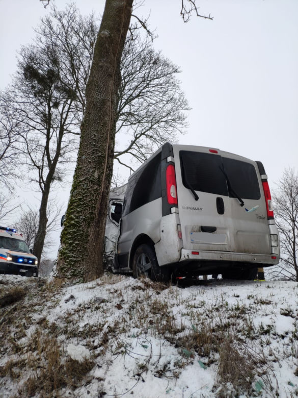 Bus uderzył w drzewo. Na szczęście podróżującym nic się nie stało [ZDJĘCIA]