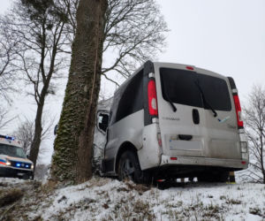 Bus uderzył w drzewo. Na szczęście podróżującym nic się nie stało [ZDJĘCIA]
