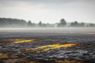 Pożar pasieki w Wołominie. Co spotkało cztery pszczele rodziny?