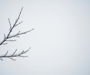 Zagubiony senior na mrozie. Czy obywatelski zryw może zapobiec tragedii?