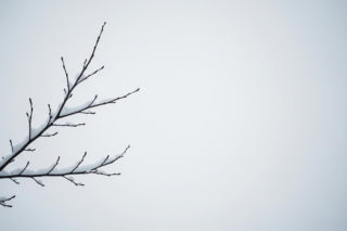 Zagubiony senior na mrozie. Czy obywatelski zryw może zapobiec tragedii?