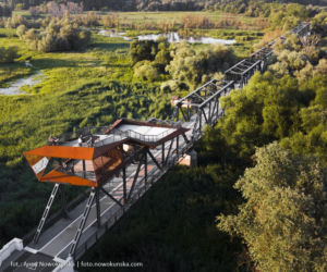 Most Europejski na Odrze w Siekierkach