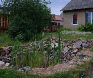 Oczyszczalnia hydrofitowa