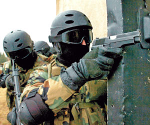 Papuga terrorystka