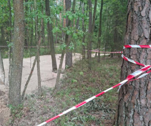 Tajemnicza maź zalała las pod Starachowicami. Policja i leśnicy badają sprawę