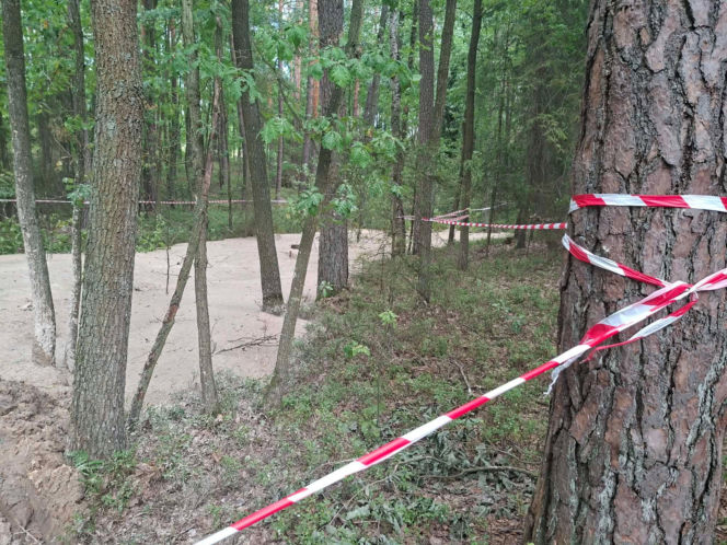 Tajemnicza maź zalała las pod Starachowicami. Policja i leśnicy badają sprawę