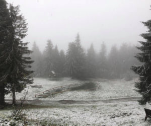 W województwie śląskim spadł pierwszy śnieg! Biały puch pojawił się w Beskidach 