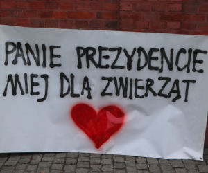 Oni mówią głosem zwierząt! Tak wygladał marsz w obronie zwierząt z Toruńskiego Schroniska [GALERIA, AUDIO]